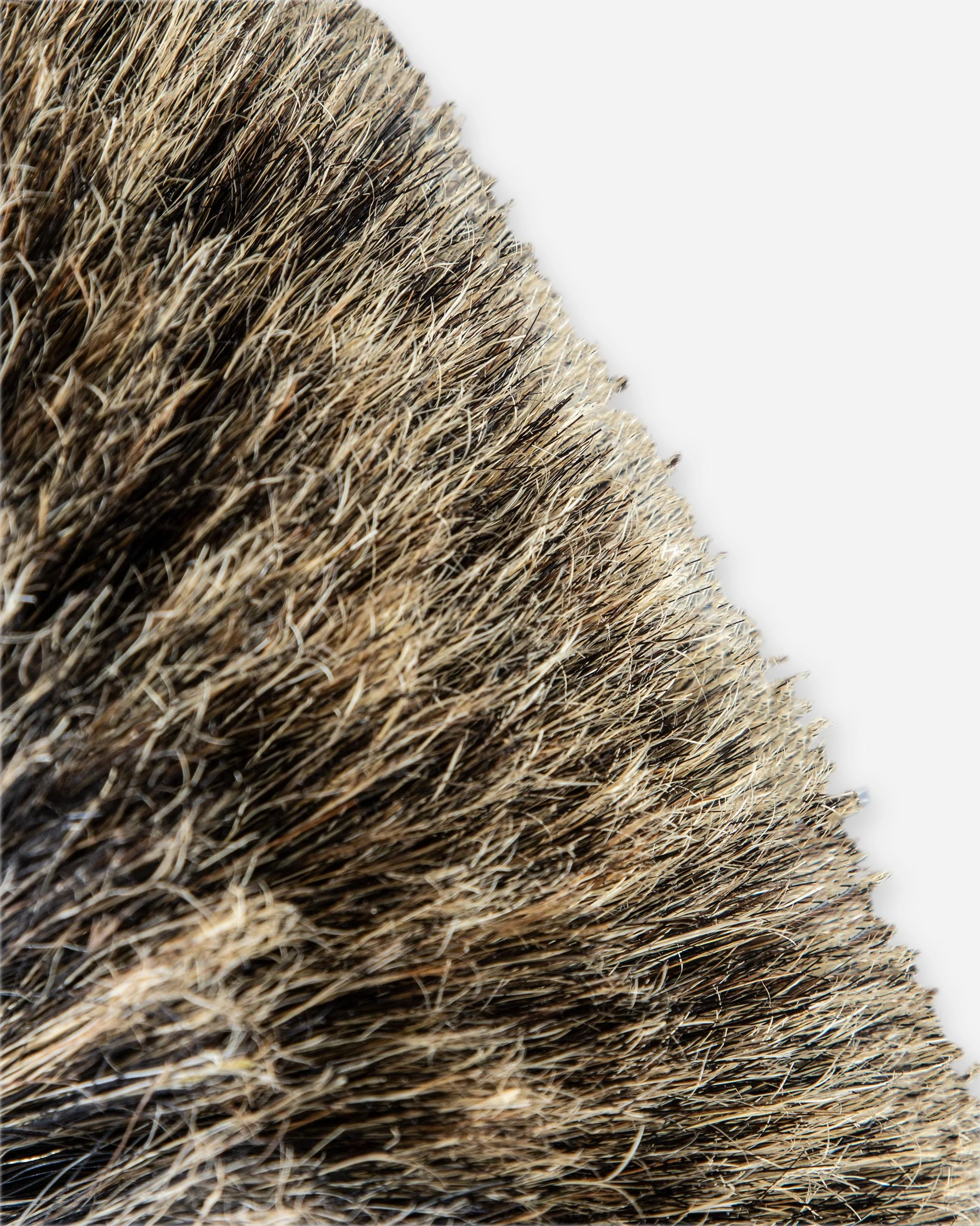 Adam's Boars Hair 360 Truck Brush - Image 4